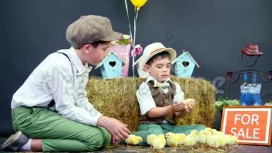村里，穿着时髦的男孩玩小鸭子和小鸡。 有专题装饰的工作室视频.. 一个盘子